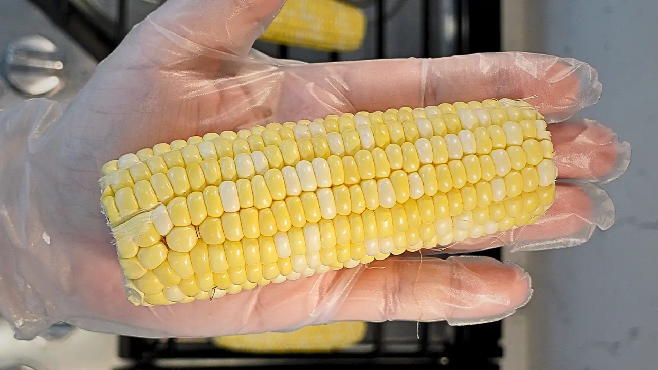 The CORN Cooking Hack (Zero Ingredients, Maximum Flavor👌)!